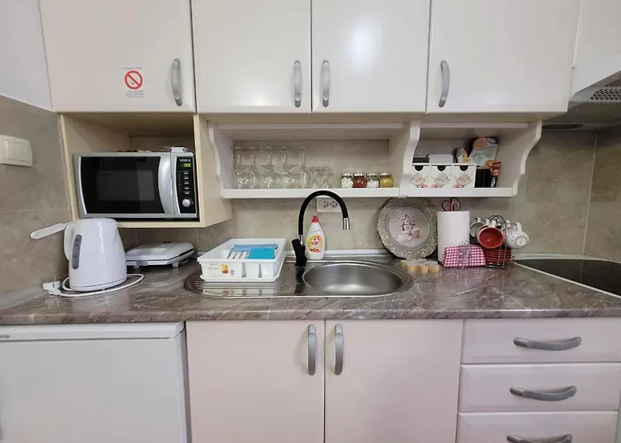 Bubili Апартаменты Врнячка-Баня